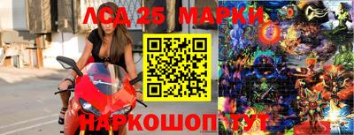 МДПВ Кингисепп