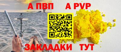 МДПВ Кингисепп