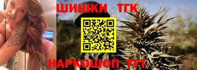 МДПВ Кингисепп