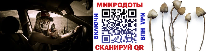 Псилоцибиновые грибы Magic Shrooms  купить наркотики сайты  kraken зеркало  Краснодар 
