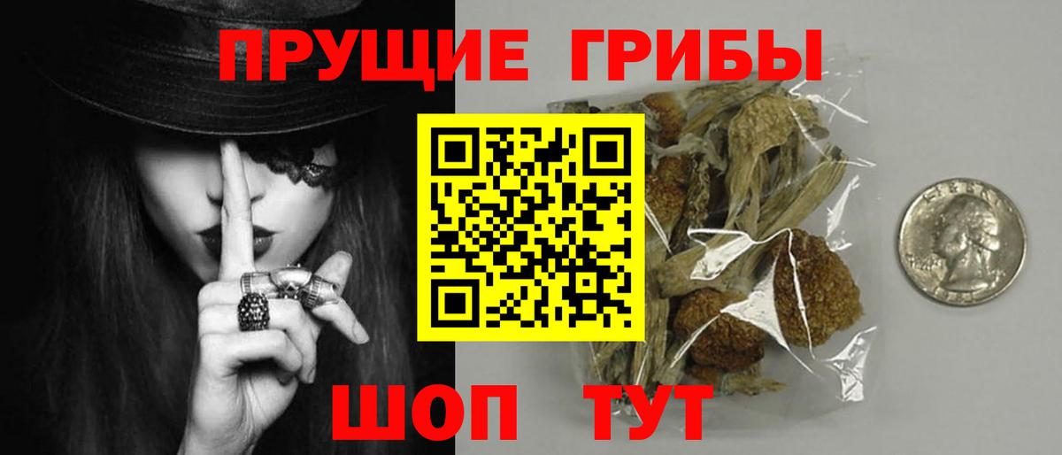 Краснодар  Псилоцибиновые грибы прущие грибы  Вход с VPN  Галлюциногенные грибы Psilocybine cubensis 