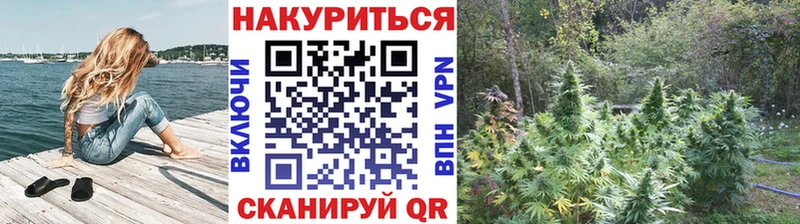 МАРИХУАНА сатива  Краснодар 